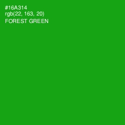 #16A314 - Forest Green Color Image